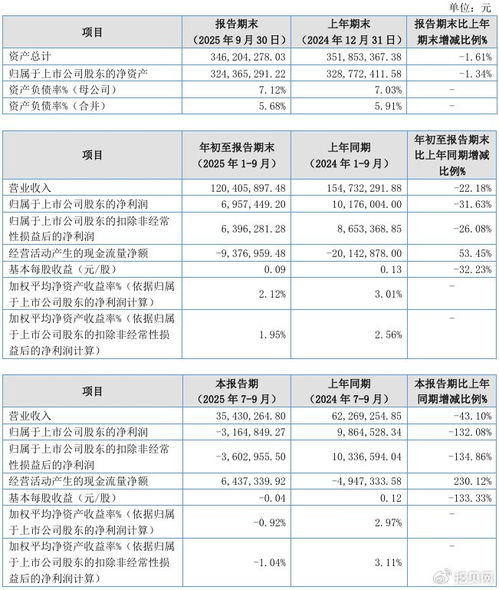 聯迪信息2025年第三季度凈虧損316.48萬元，內銷收入下滑拖累業績